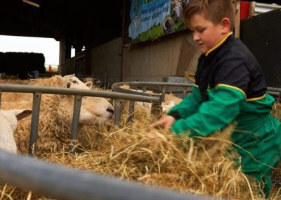 working farm