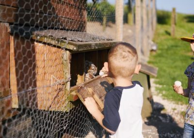 Checking for eggs