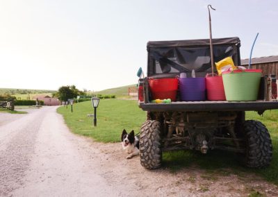 Camping at Humble Bee Farm