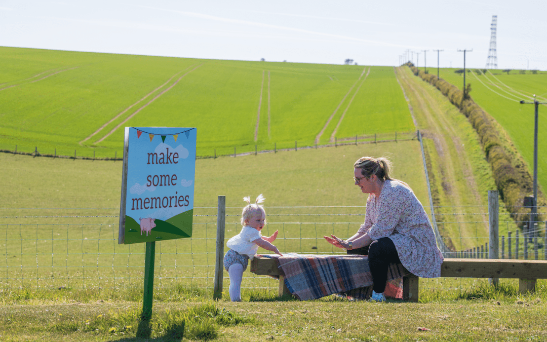 Humble Bee Farm’s Guide to Glamping!