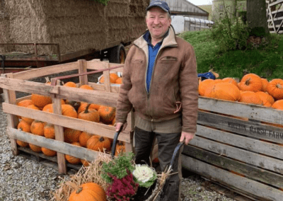 Pumpkins