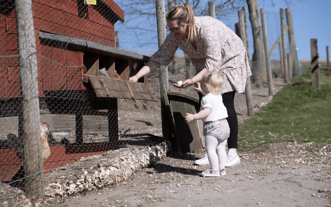 Glamping with toddlers!