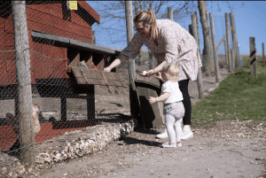 Checking for eggs