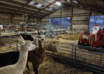 Festive Barn