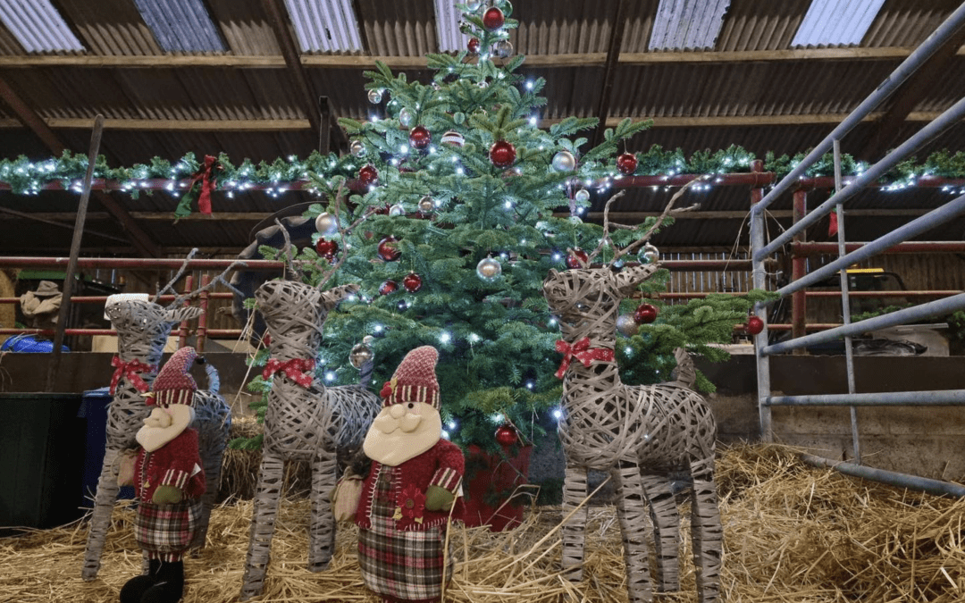 A Magical Christmas Experience down on the farm – FOR STAYING GUESTS – NEW FOR 2024