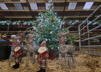 Festive barn