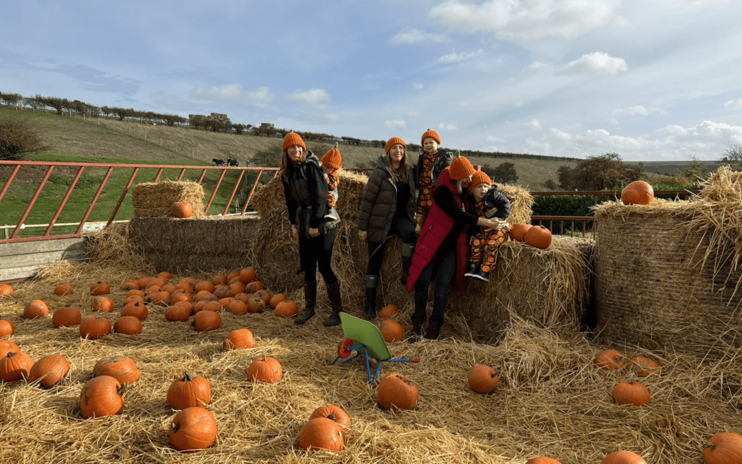 Humble Bee’s Pumpkin Patch & Halloween Trail – OPEN TO THE PUBLIC