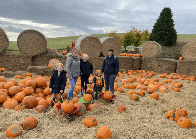 Pumpkin Patch