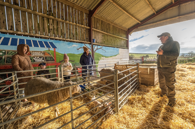 Lambing Experience Days – Open to the public with Farmer Percy – FULLY BOOKED