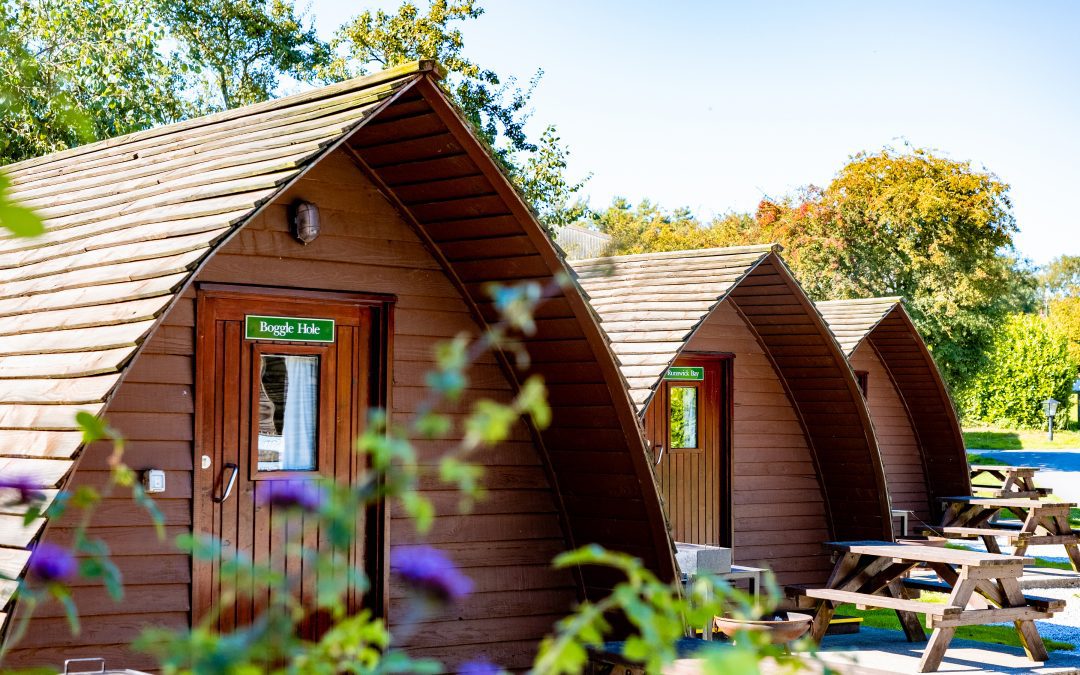 1 Night Tasters In Big Chief Wigwams