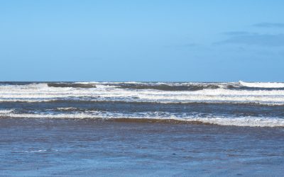 Close to the Seaside!