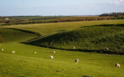 Events along the Yorkshire Coast 2025