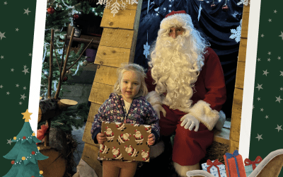 A Magical Christmas Experience down on the Farm – Open to the public