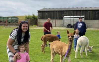 The Merry Month of May at Humble Bee Farm