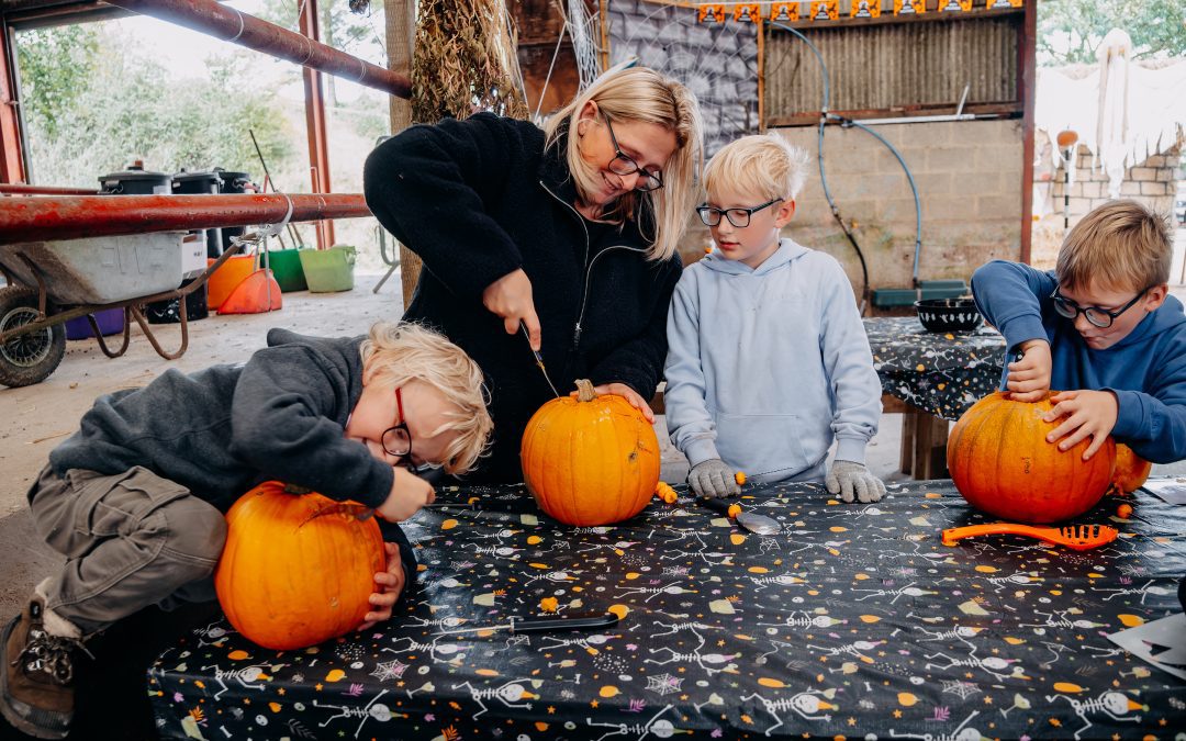 Autumn 2026 at Humble Bee Farm!