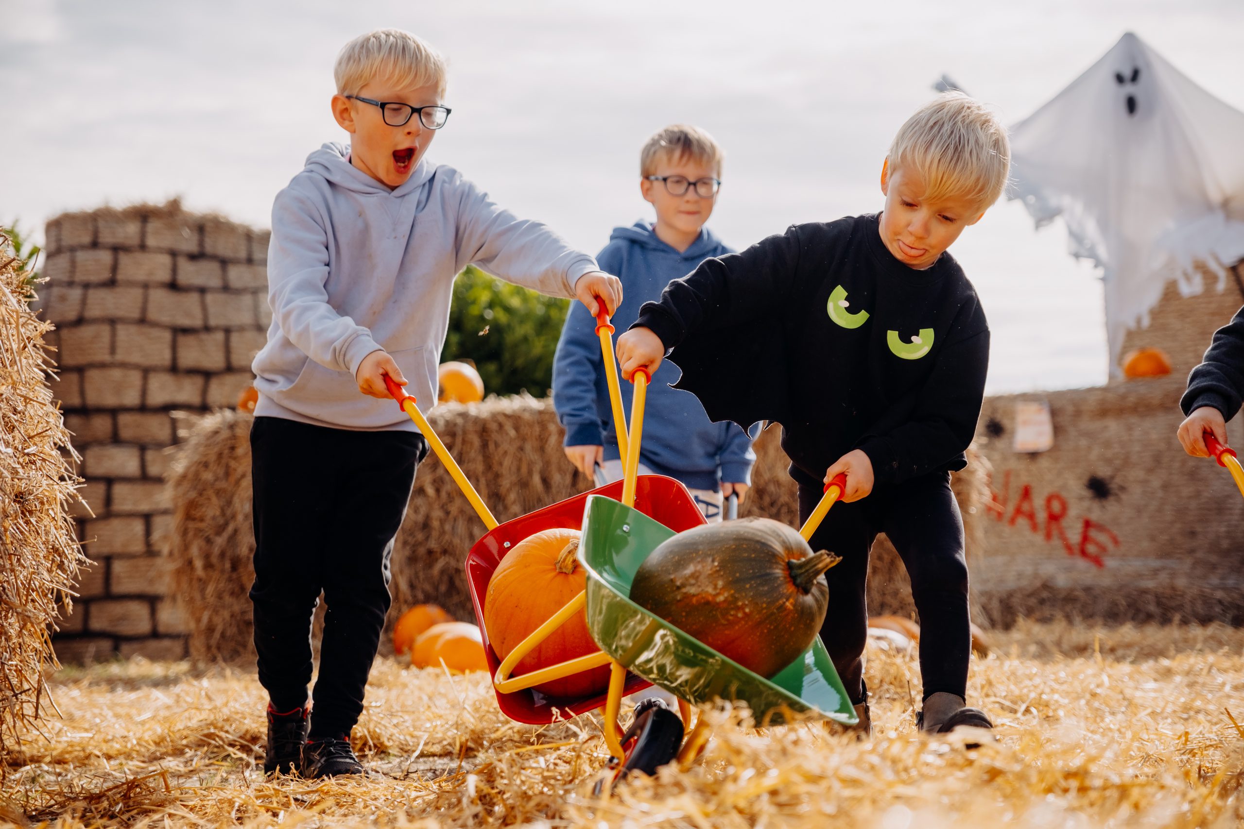 pumpkins