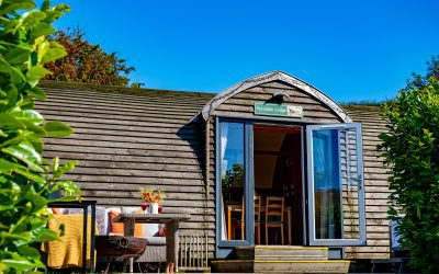 Humble Bee Farm in The Sunday Times, the Scarborough  News, Yorkshire Life and The Yorkshireman
