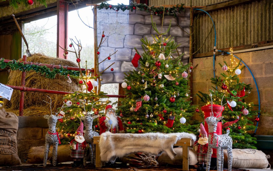 A Knock at the Door… It’s Santa’s Elf!