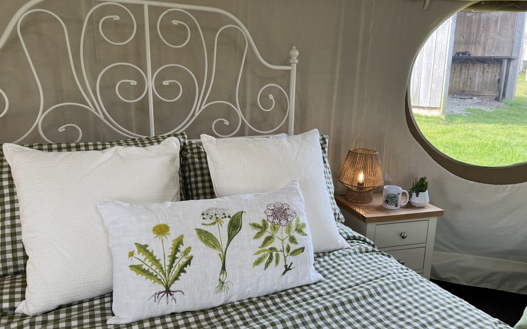 Summer offers in our Nomadic Yurts