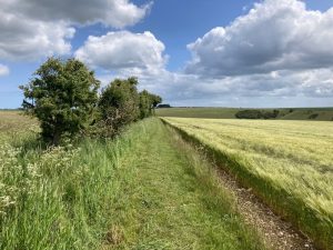 Wolds